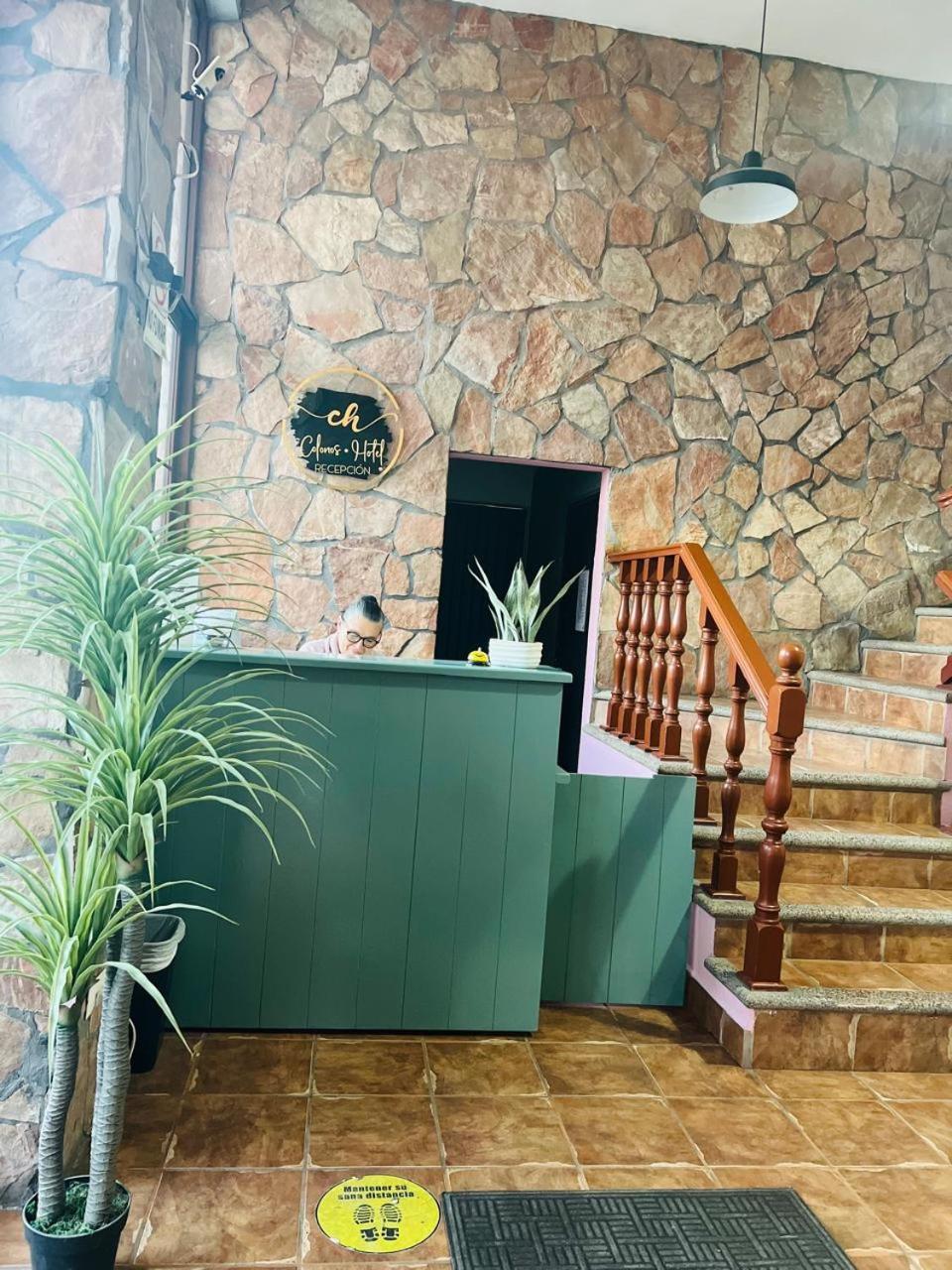 Hotel Colonos Los Cabos กาโบซานลูกัส ภายนอก รูปภาพ