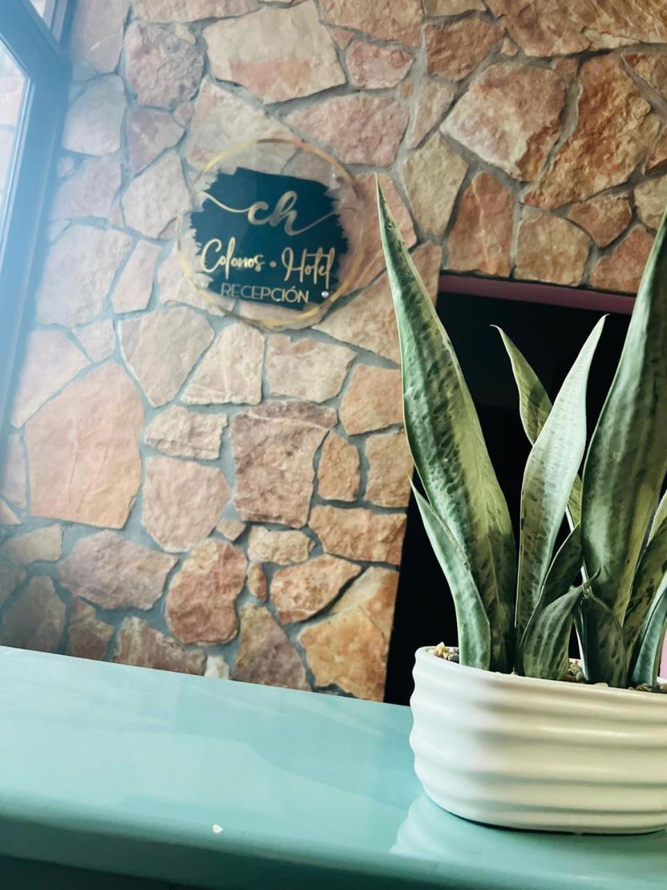 Hotel Colonos Los Cabos กาโบซานลูกัส ภายนอก รูปภาพ